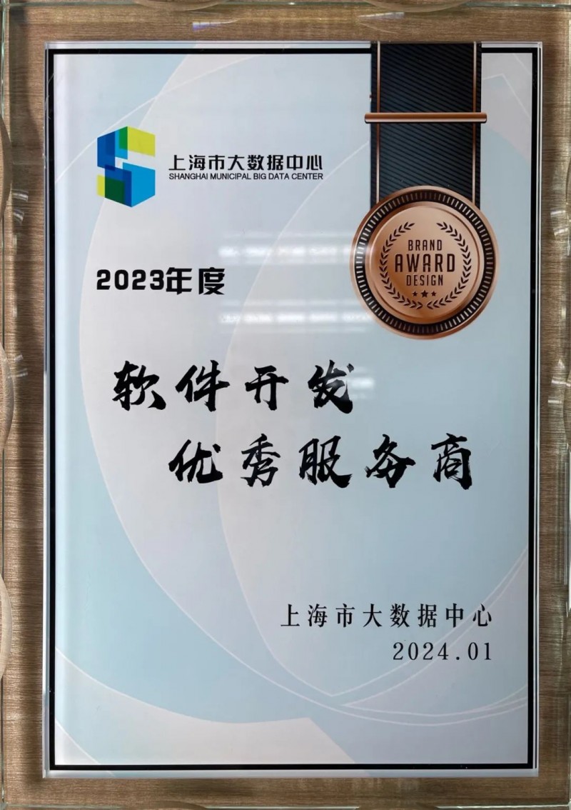上海软件开发行业:智慧转型与创新之光